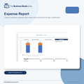 Expense Report